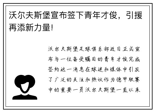 沃尔夫斯堡宣布签下青年才俊，引援再添新力量!